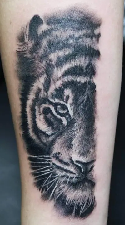 Realistisches Tiger-Portrait in Schwarz-Grau