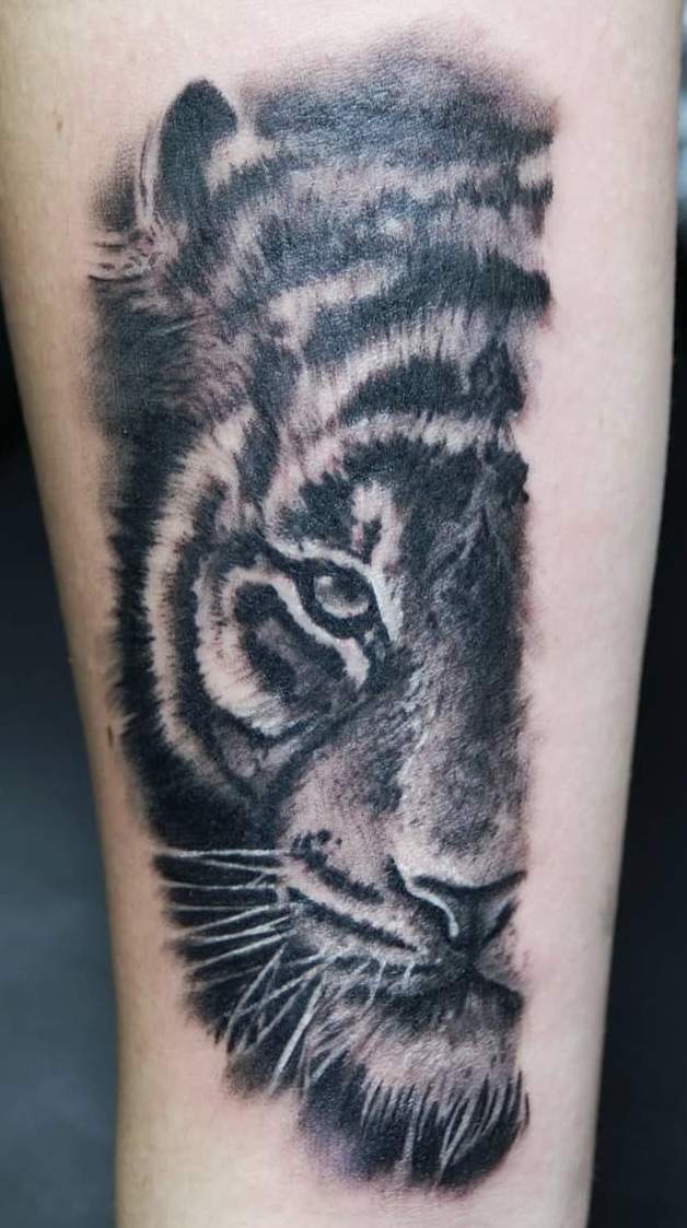Realistisches Tiger-Portrait in Schwarz-Grau